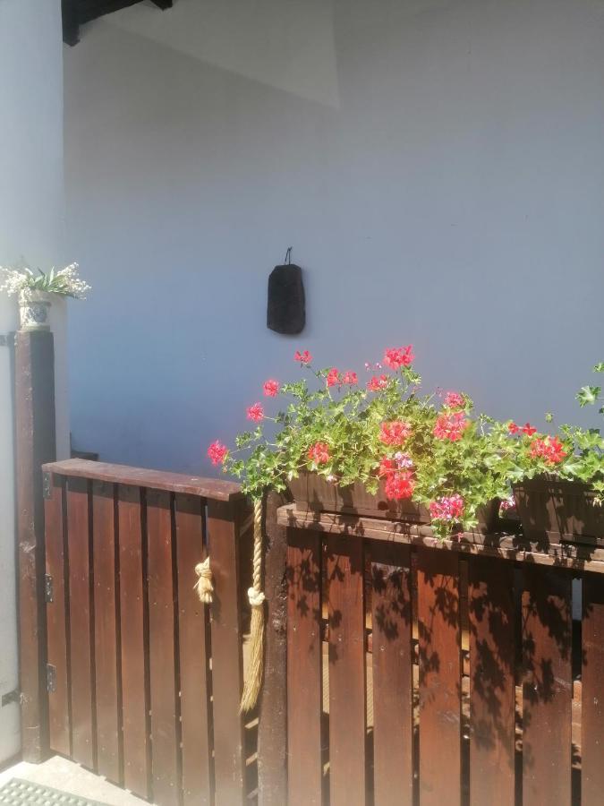Casa Huber Carta (Sibiu) Exterior foto