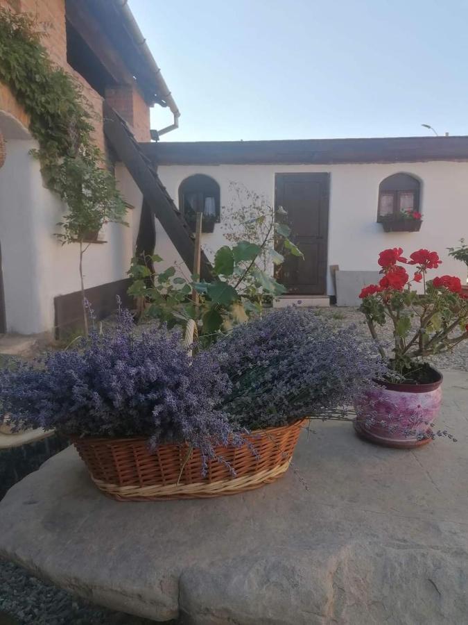 Casa Huber Carta (Sibiu) Exterior foto